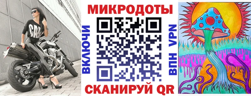 Псилоцибиновые грибы Psilocybe  Купить где  Снежинск 